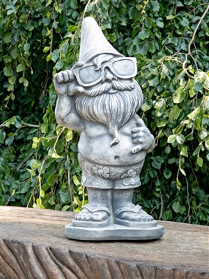 Dude Gnome