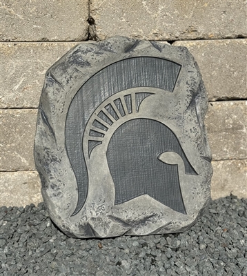 Michigan State stepping stone